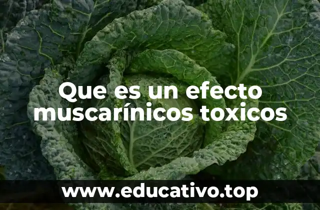 Que es un efecto muscarínicos toxicos