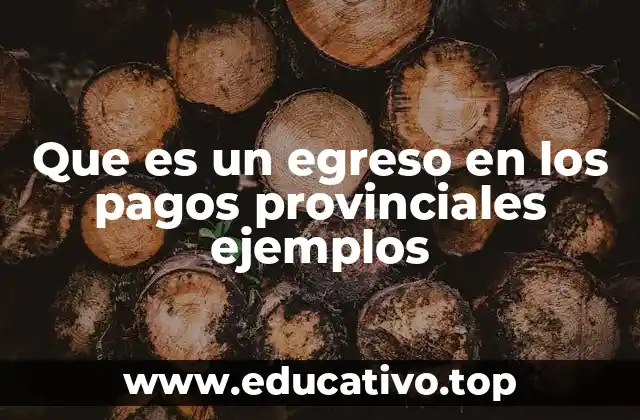 Que es un egreso en los pagos provinciales ejemplos