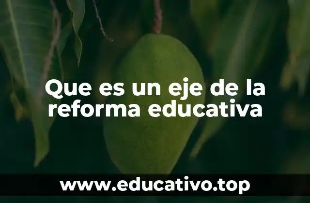 Que es un eje de la reforma educativa