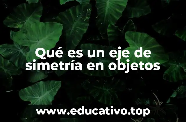 Qué es un eje de simetría en objetos