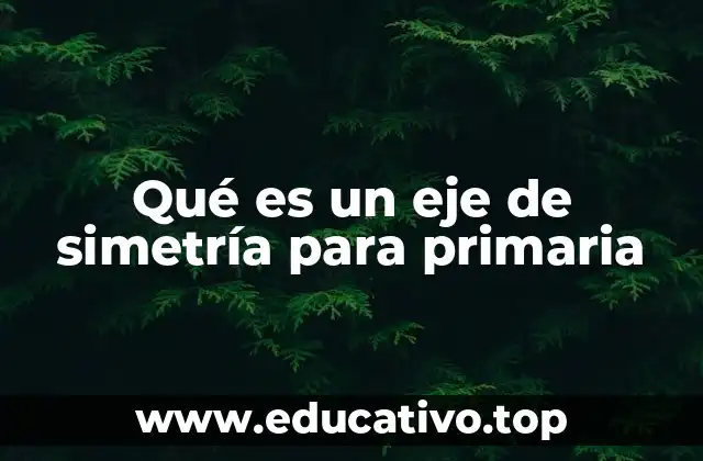 Qué es un eje de simetría para primaria