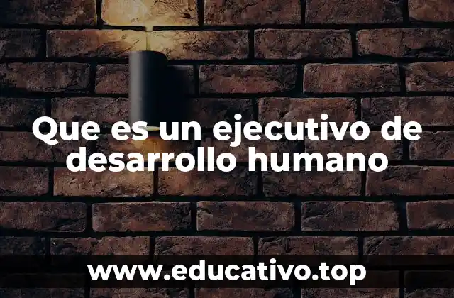 Que es un ejecutivo de desarrollo humano