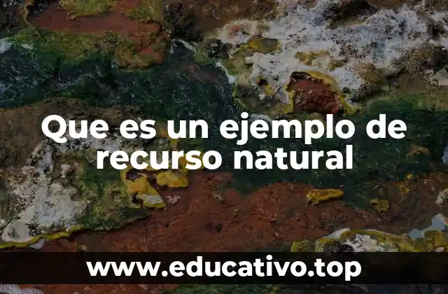 Que es un ejemplo de recurso natural
