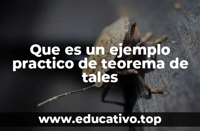 Que es un ejemplo practico de teorema de tales