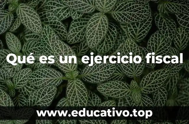 Qué es un ejercicio fiscal