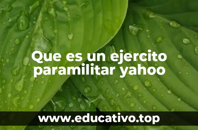 Que es un ejercito paramilitar yahoo
