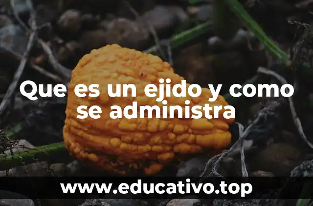 Que es un ejido y como se administra