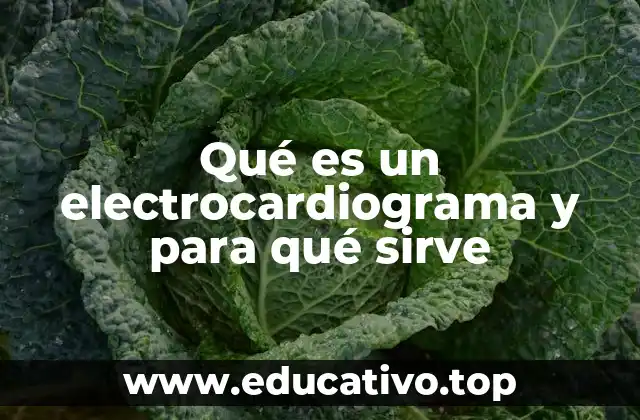 Qué es un electrocardiograma y para qué sirve