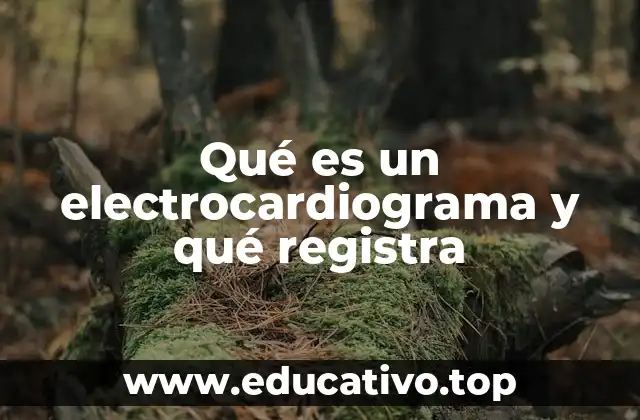 Cómo se obtiene información sobre el corazón mediante el electrocardiograma