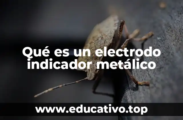 Qué es un electrodo indicador metálico