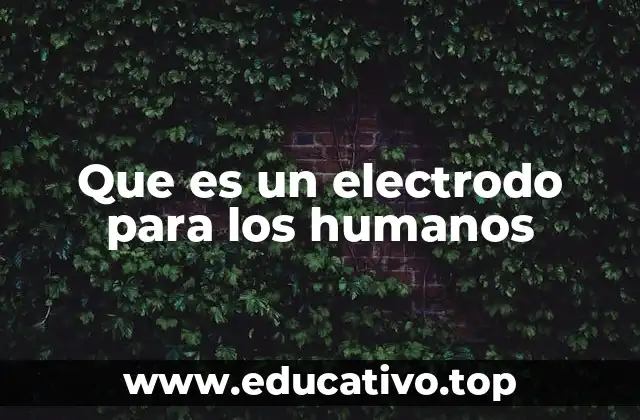 Que es un electrodo para los humanos