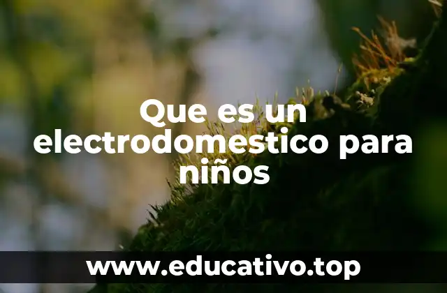 Que es un electrodomestico para niños