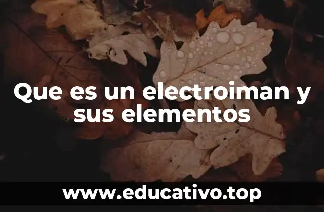 Que es un electroiman y sus elementos