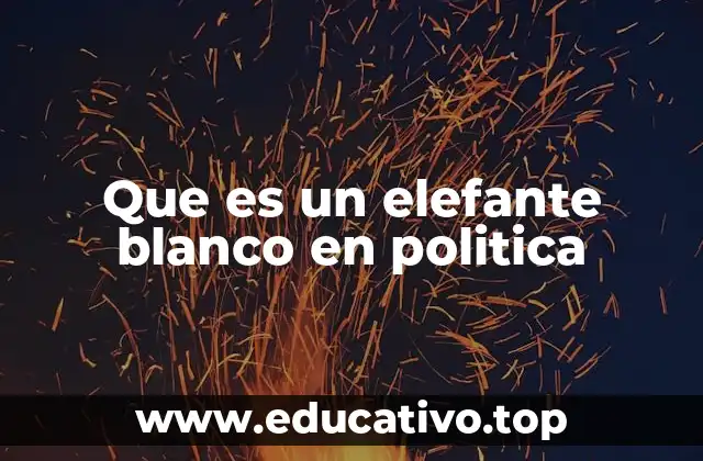 El impacto de los elefantes blancos en la toma de decisiones políticas
