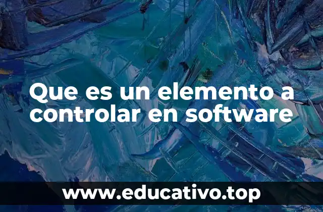Que es un elemento a controlar en software