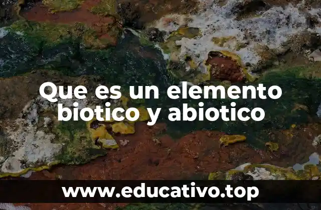 Que es un elemento biotico y abiotico