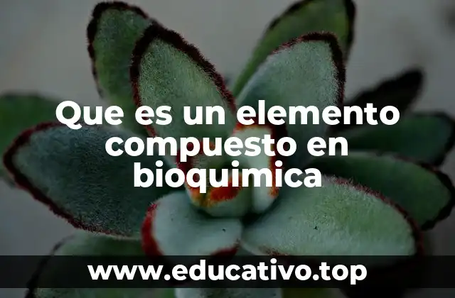 Que es un elemento compuesto en bioquimica