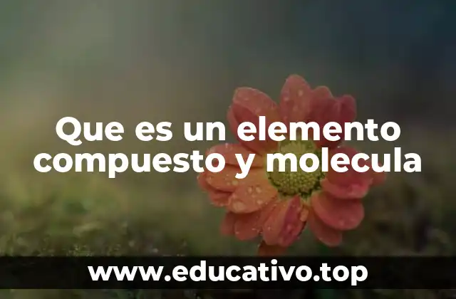 Que es un elemento compuesto y molecula