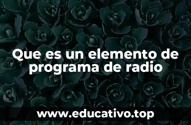 La importancia de los componentes en un programa radial