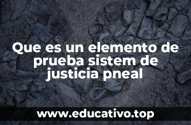 Que es un elemento de prueba sistem de justicia pneal