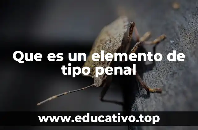 Que es un elemento de tipo penal