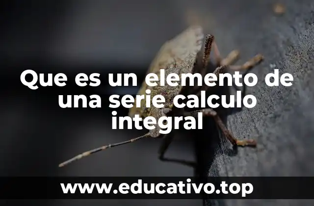 Que es un elemento de una serie calculo integral