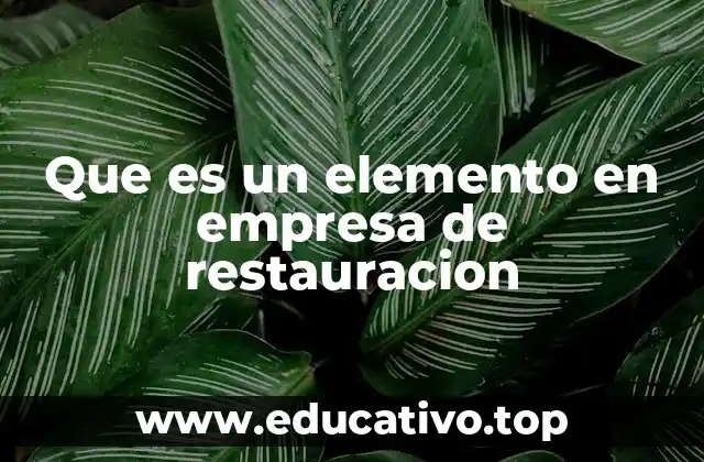 Que es un elemento en empresa de restauracion