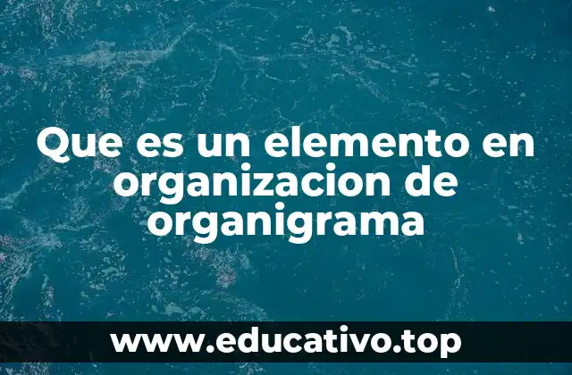 Que es un elemento en organizacion de organigrama