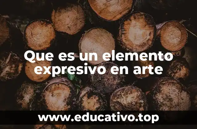 Que es un elemento expresivo en arte