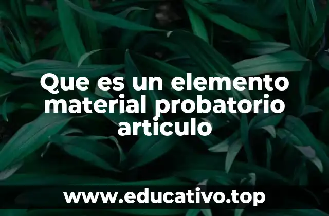 Que es un elemento material probatorio articulo