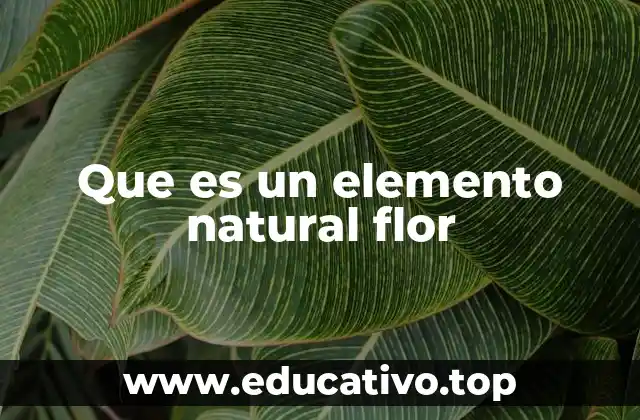 Que es un elemento natural flor