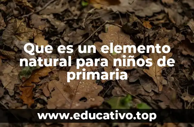 Que es un elemento natural para niños de primaria