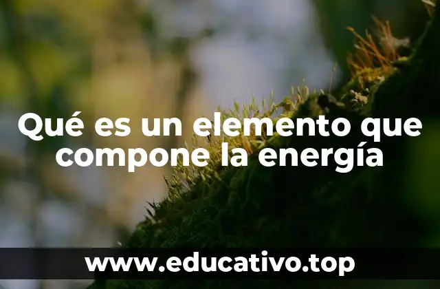 Qué es un elemento que compone la energía
