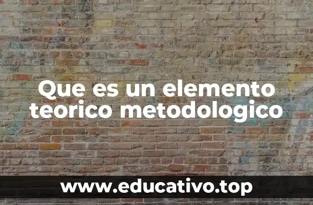 Que es un elemento teorico metodologico