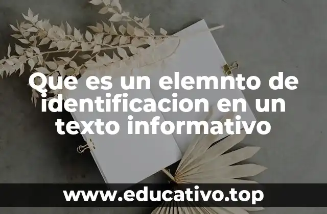 Que es un elemnto de identificacion en un texto informativo