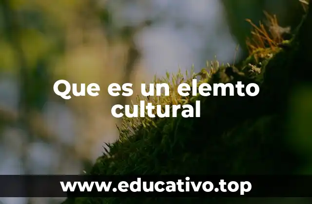 Que es un elemto cultural