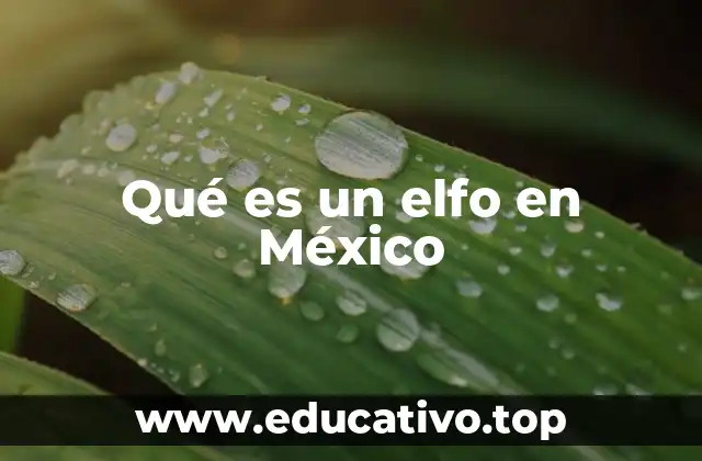 Qué es un elfo en México