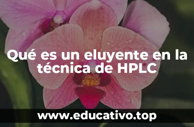 Qué es un eluyente en la técnica de HPLC