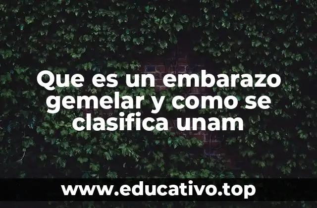 Que es un embarazo gemelar y como se clasifica unam