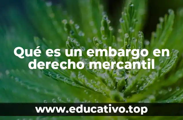 Qué es un embargo en derecho mercantil