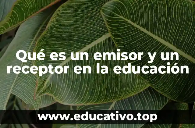 Qué es un emisor y un receptor en la educación