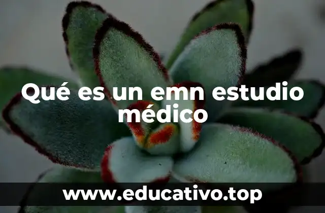 Qué es un emn estudio médico