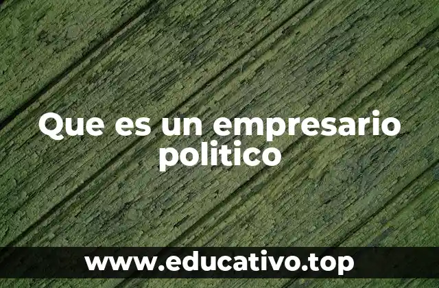 Que es un empresario politico
