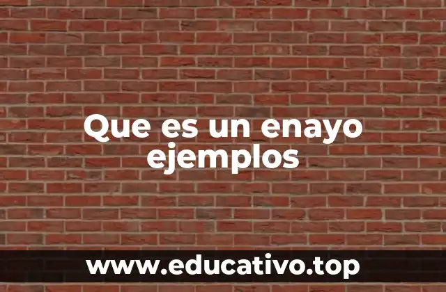 Que es un enayo ejemplos