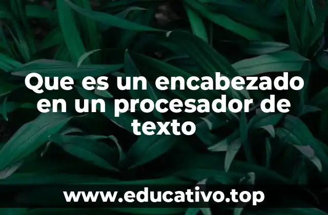 La importancia de los elementos visuales en la organización de documentos