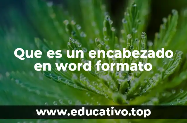 Que es un encabezado en word formato