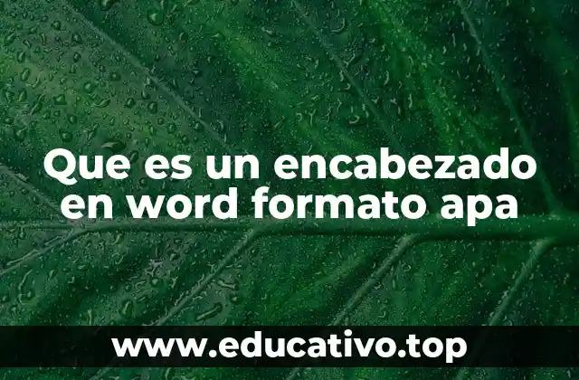 Que es un encabezado en word formato apa