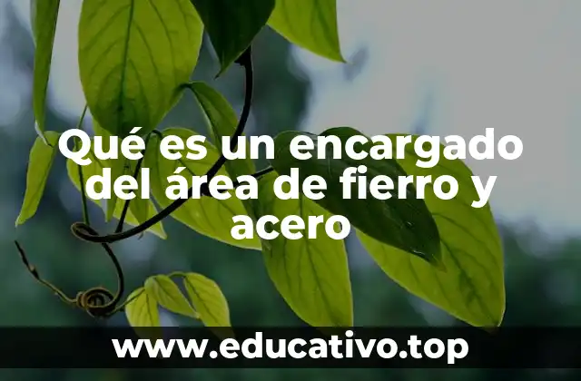 Qué es un encargado del área de fierro y acero