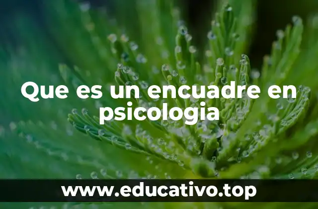 Que es un encuadre en psicologia