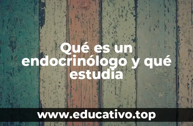 Qué es un endocrinólogo y qué estudia
